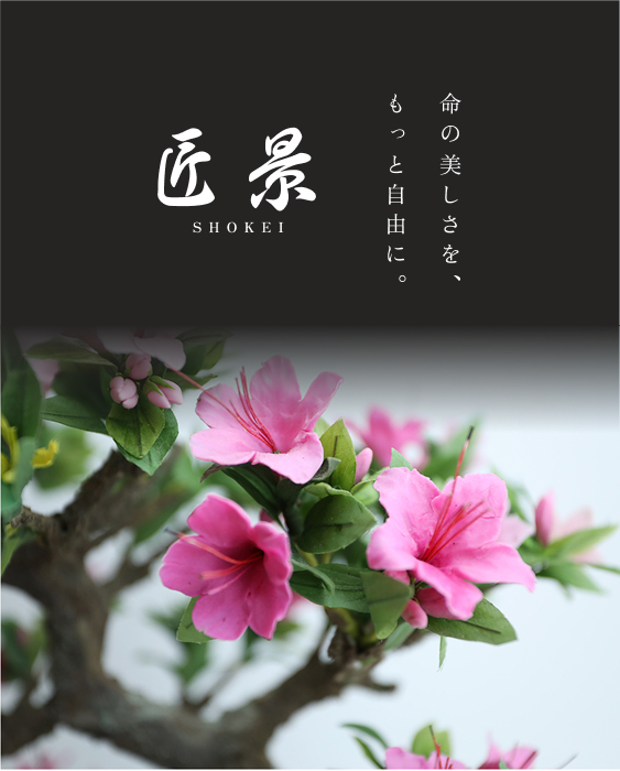 命の美しさを、もっと自由に。 匠景